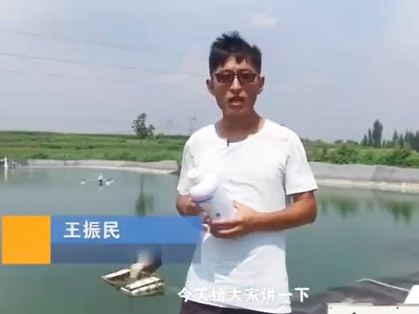 菌种介绍-噬菌体介绍