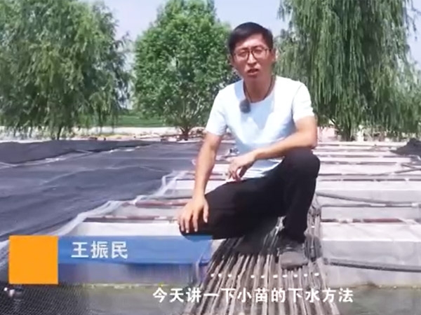 抖圈幼苗的下水步骤