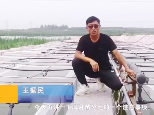 抖圈满月苗确当苦衷项