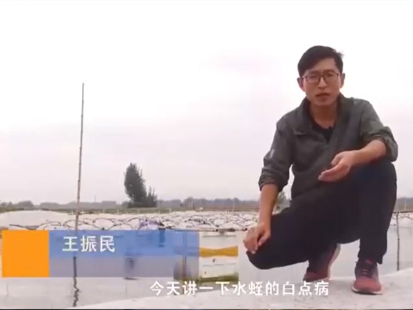 抖圈白点病产生涯法规及防治步骤