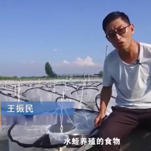 养殖治理.食品投放